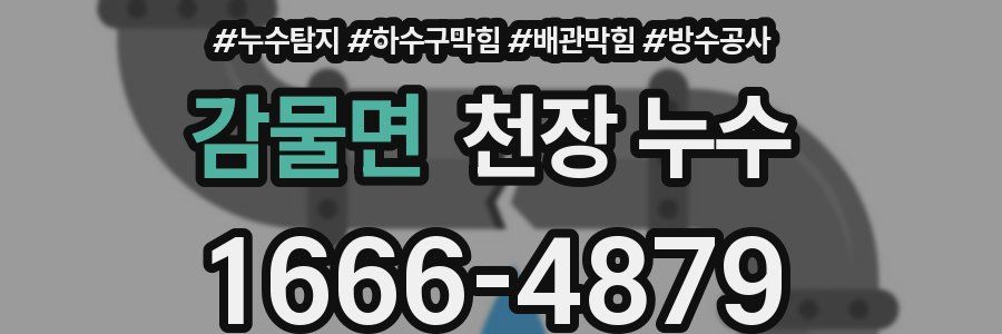 감물면 천장 누수