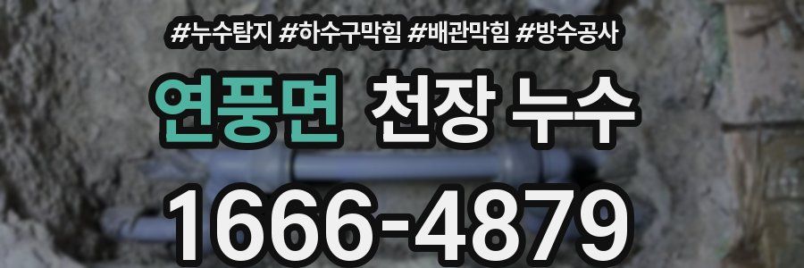 연풍면 천장 누수