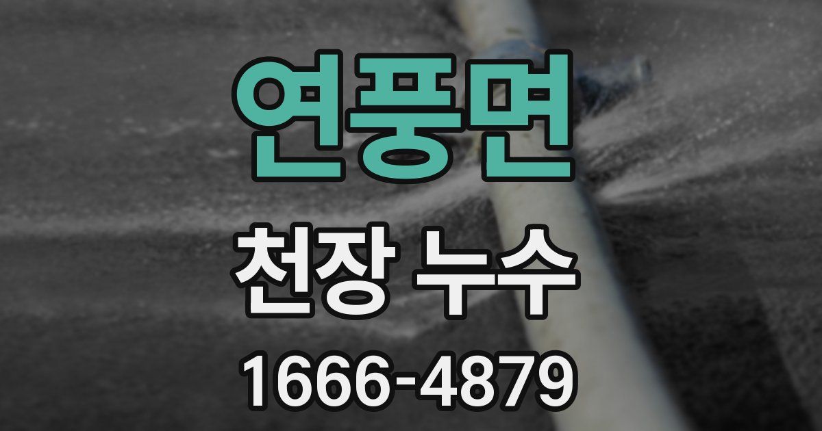 연풍면 천장 누수