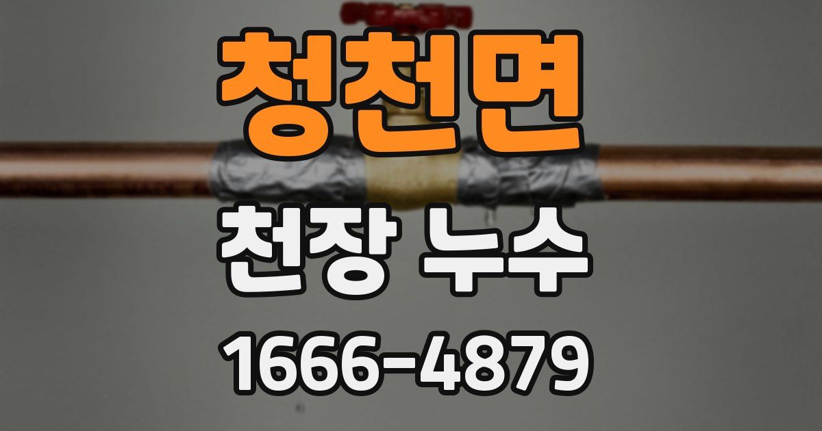 청천면 천장 누수