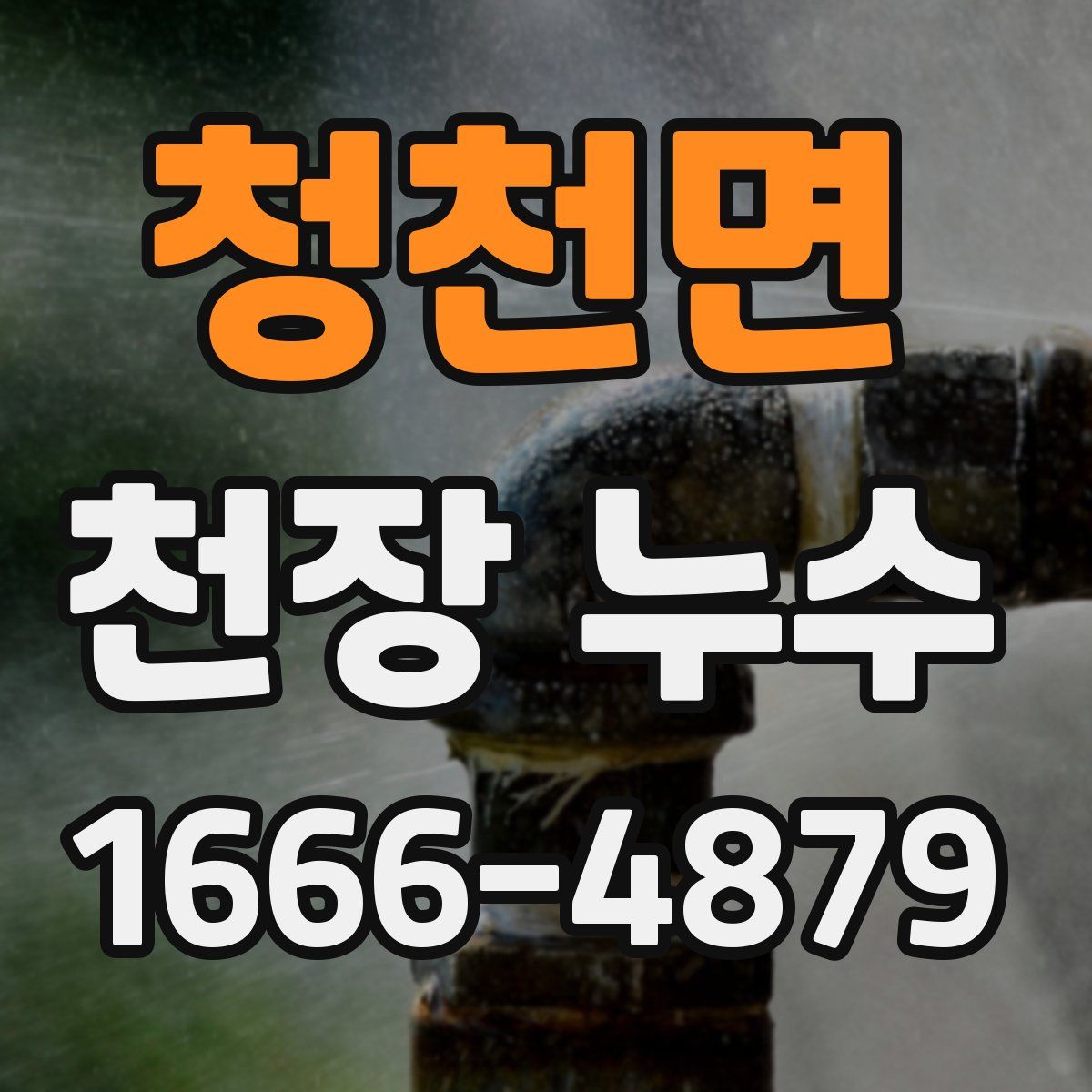 청천면 천장 누수