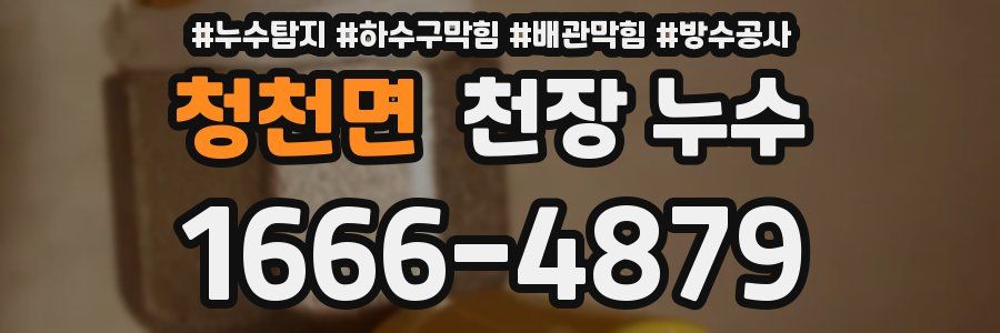 청천면 천장 누수