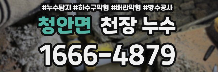 청안면 천장 누수