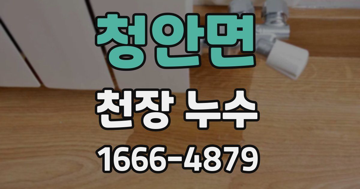청안면 천장 누수