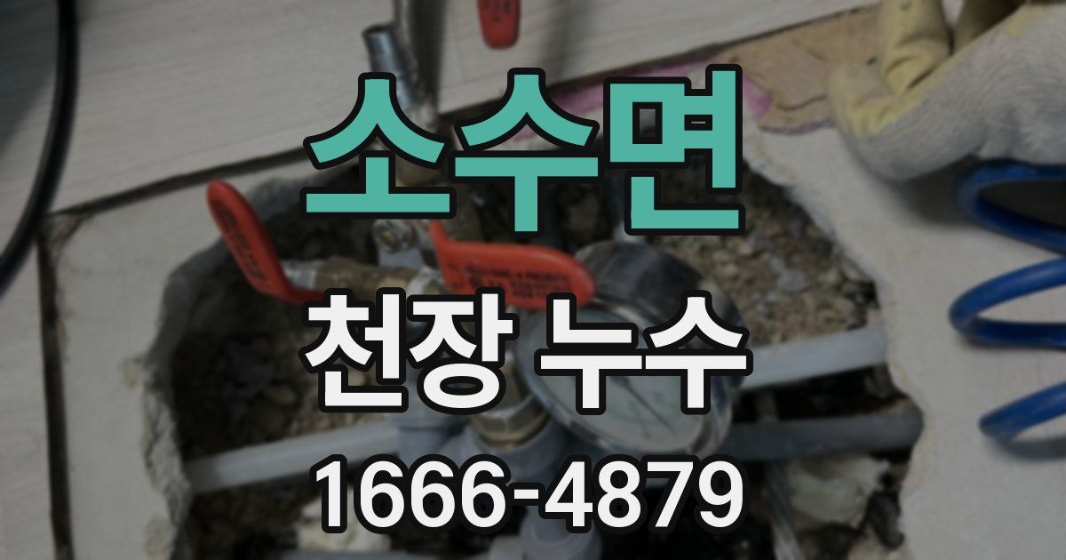 소수면 천장 누수
