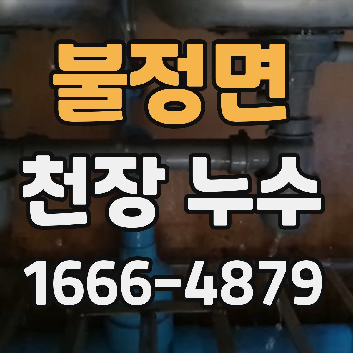 불정면 천장 누수