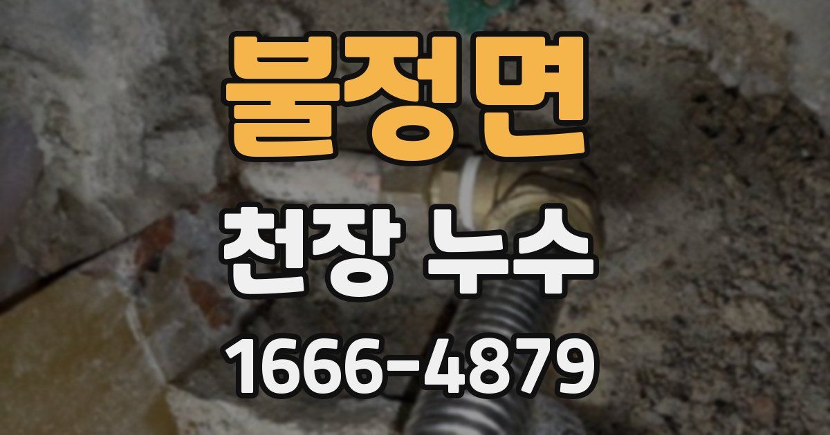 불정면 천장 누수