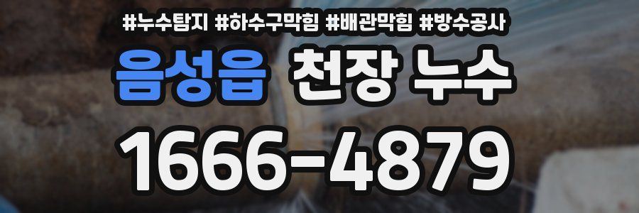 음성읍 천장 누수