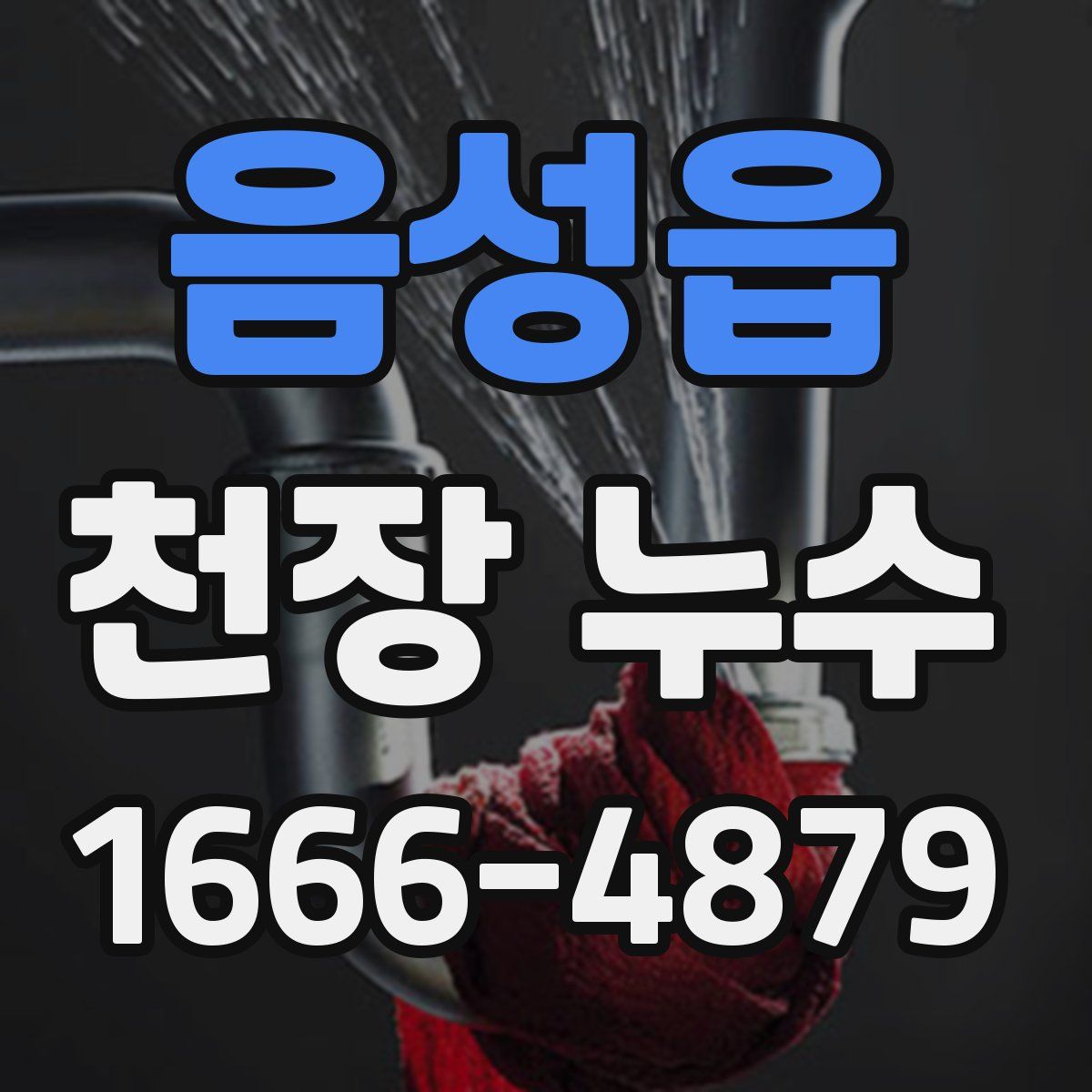 음성읍 천장 누수
