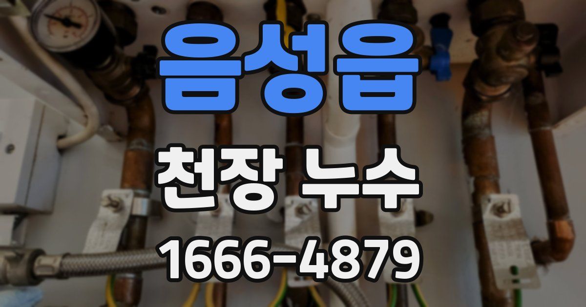 음성읍 천장 누수