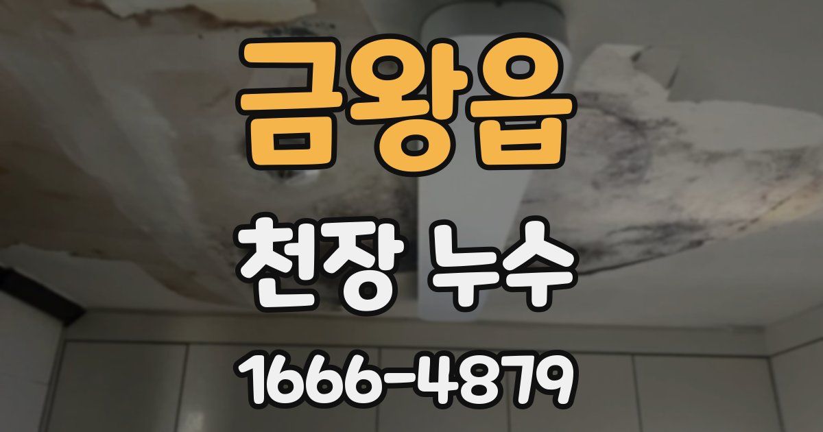 금왕읍 천장 누수