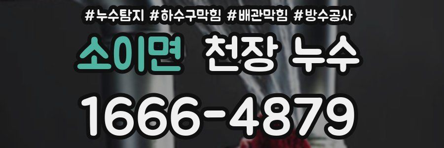 소이면 천장 누수