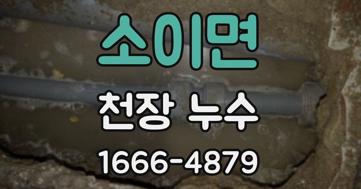 소이면 천장 누수