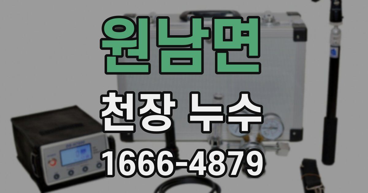 원남면 천장 누수