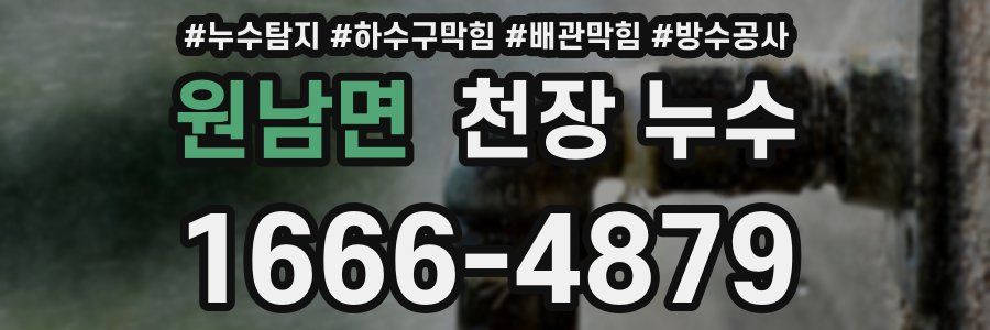 원남면 천장 누수