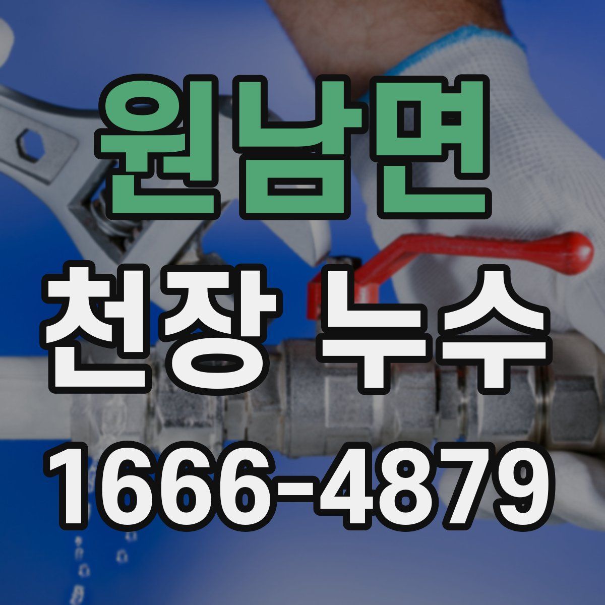 원남면 천장 누수