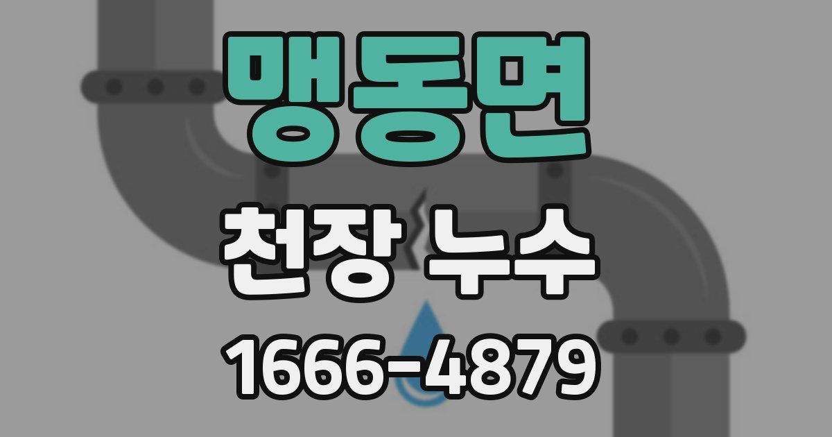 맹동면 천장 누수