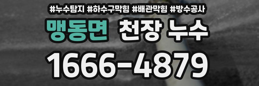 맹동면 천장 누수
