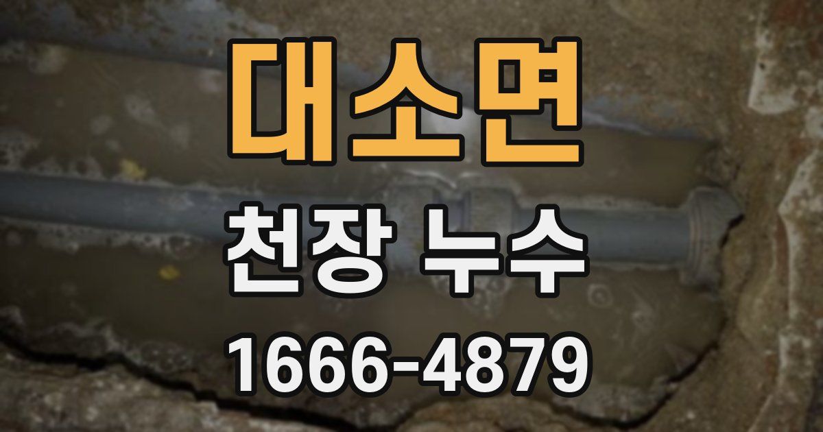 대소면 천장 누수