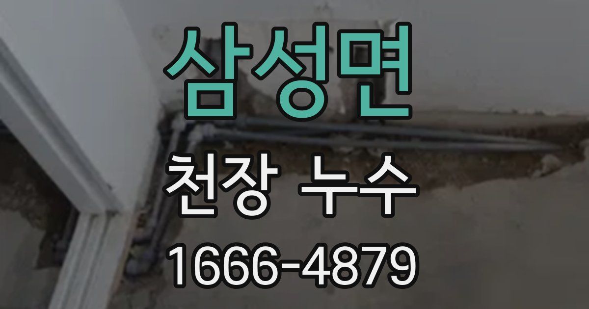 삼성면 천장 누수