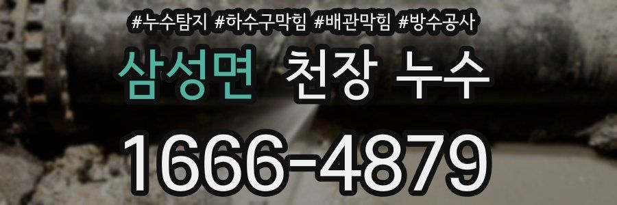 삼성면 천장 누수