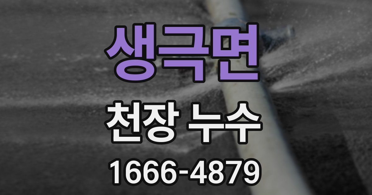 생극면 천장 누수