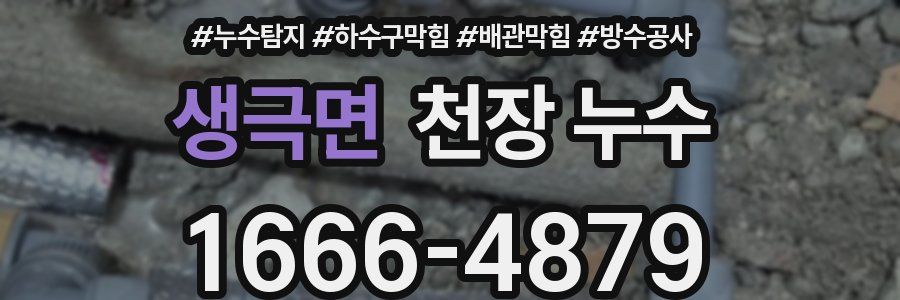 생극면 천장 누수