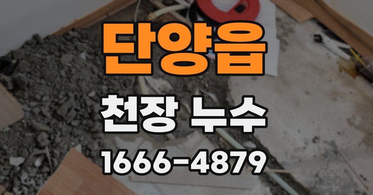 단양읍 천장 누수