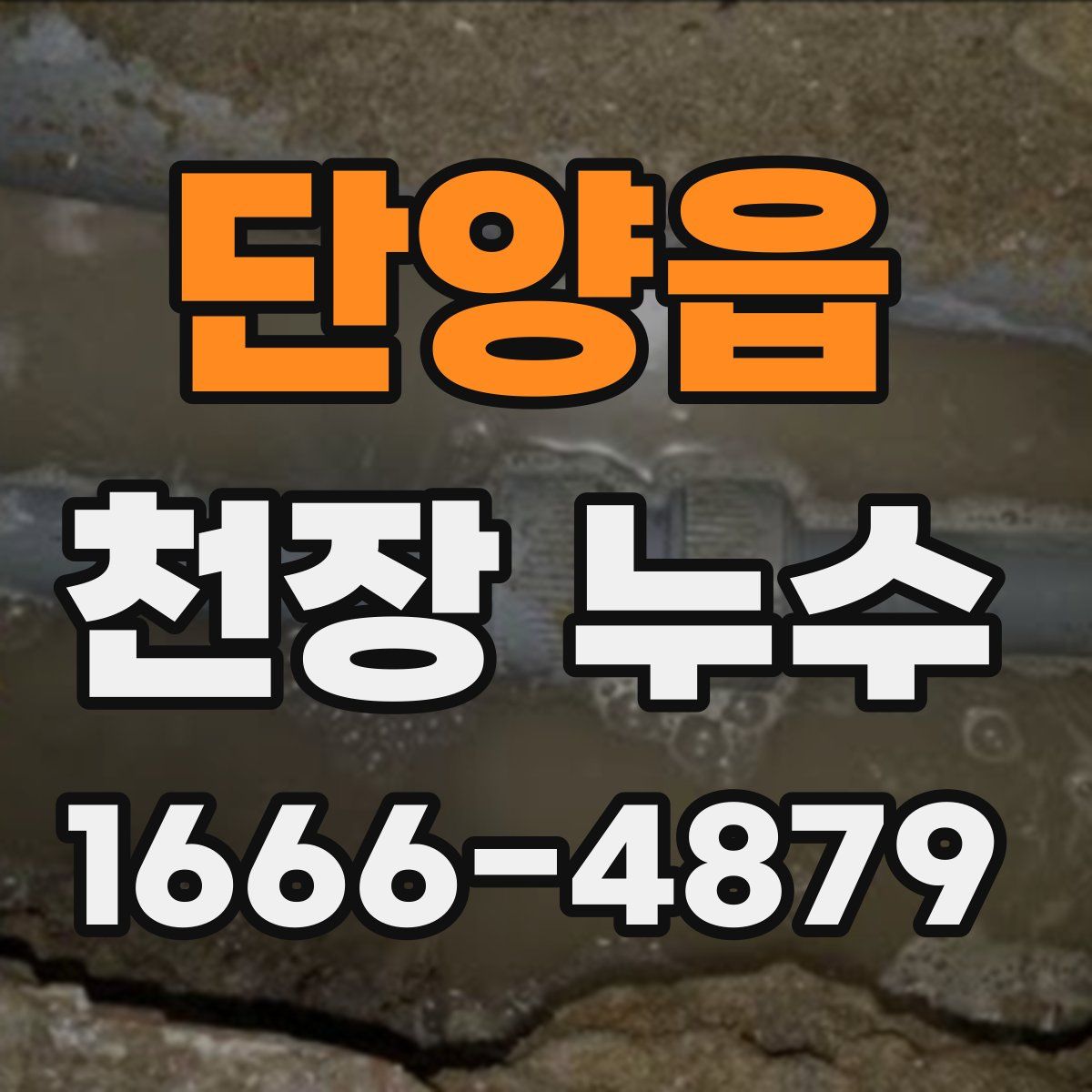 단양읍 천장 누수