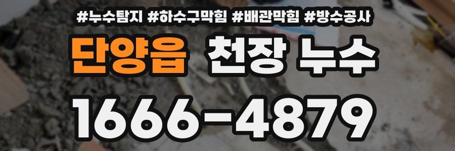단양읍 천장 누수