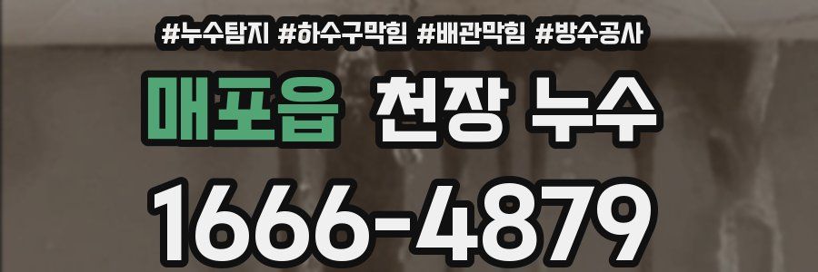 매포읍 천장 누수