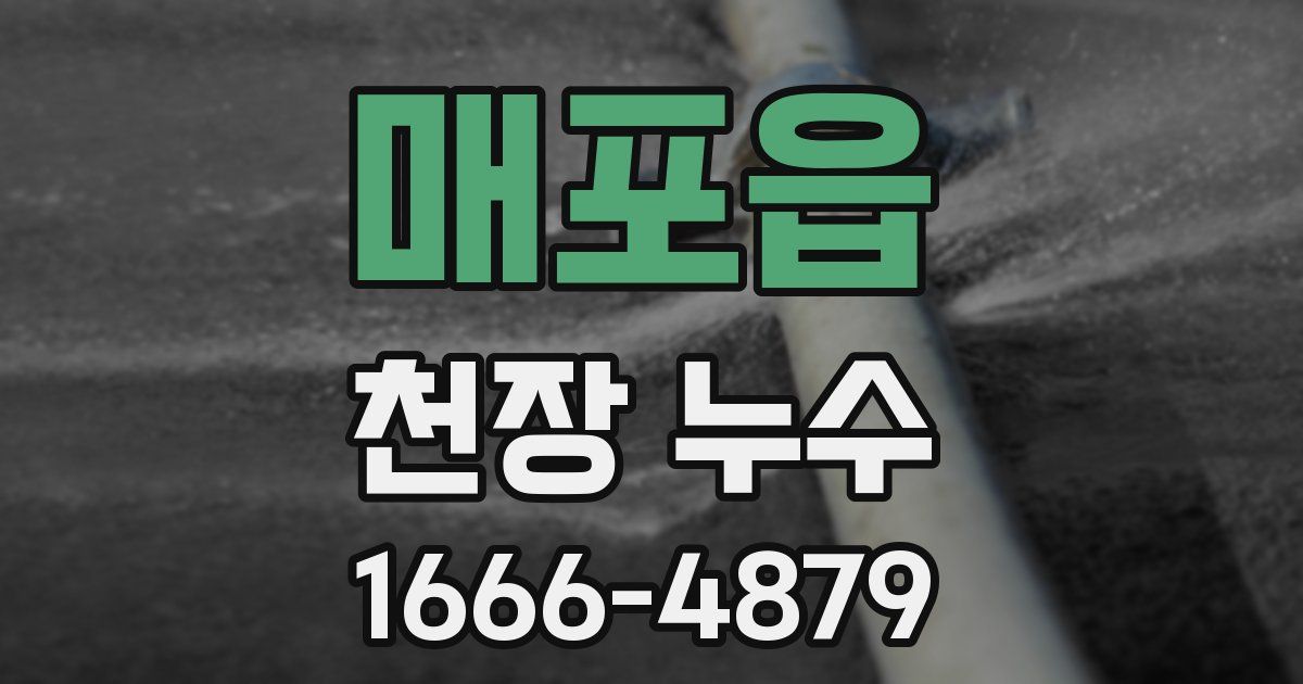 매포읍 천장 누수