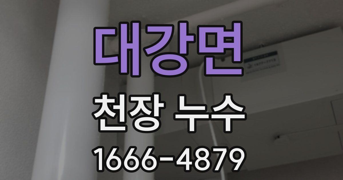 대강면 천장 누수