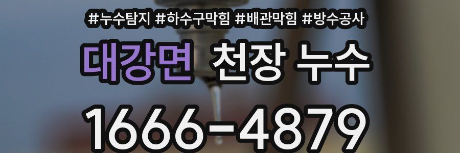 대강면 천장 누수