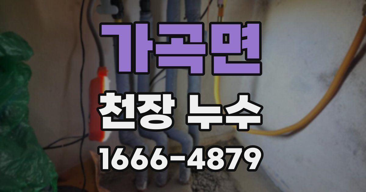 가곡면 천장 누수