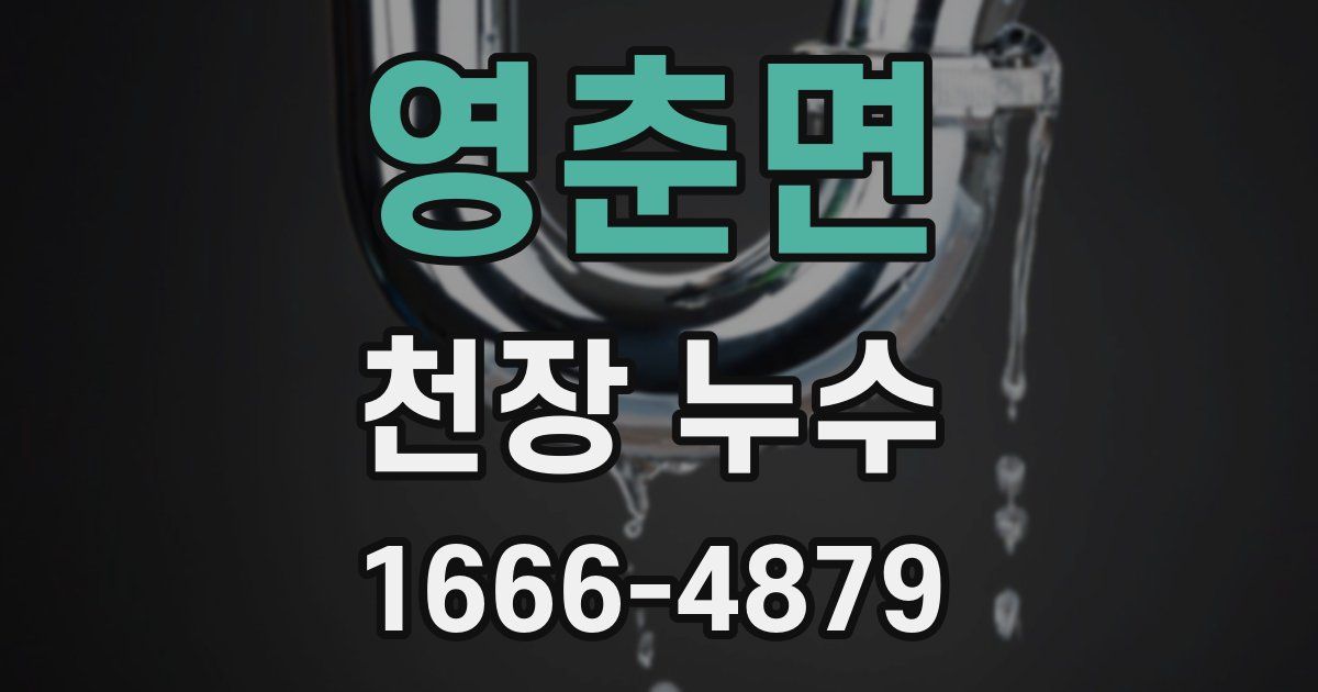 영춘면 천장 누수