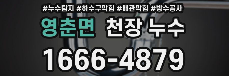 영춘면 천장 누수
