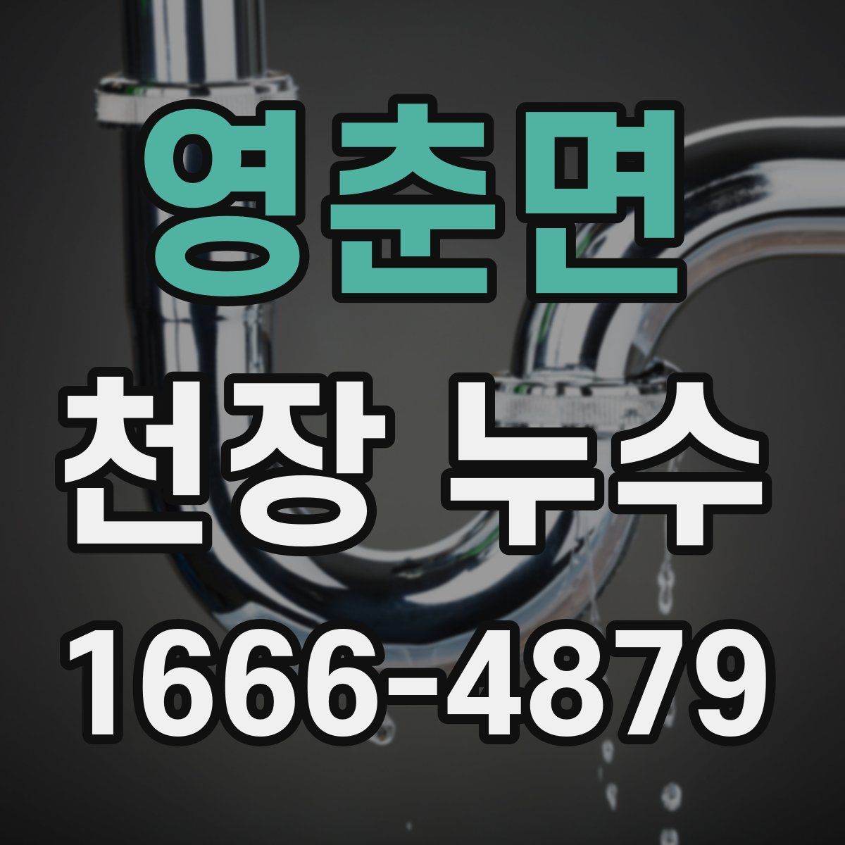 영춘면 천장 누수