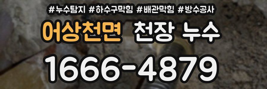 어상천면 천장 누수