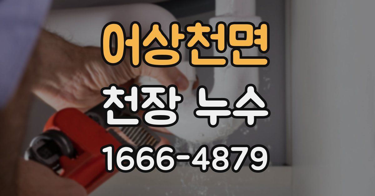 어상천면 천장 누수