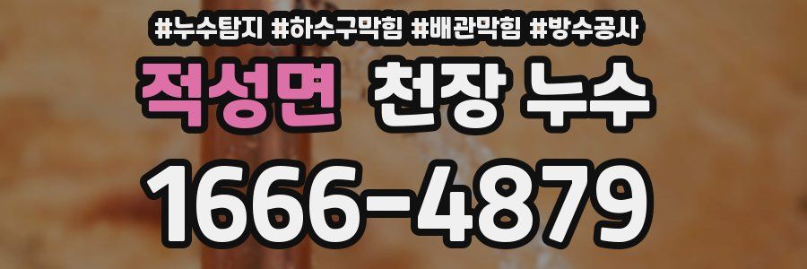 적성면 천장 누수