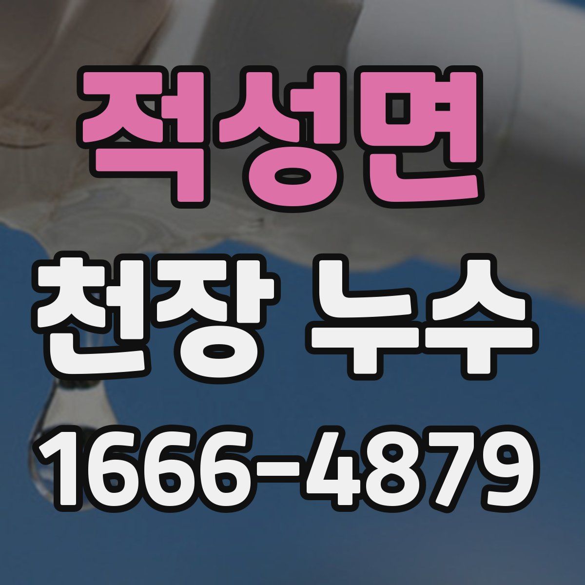 적성면 천장 누수