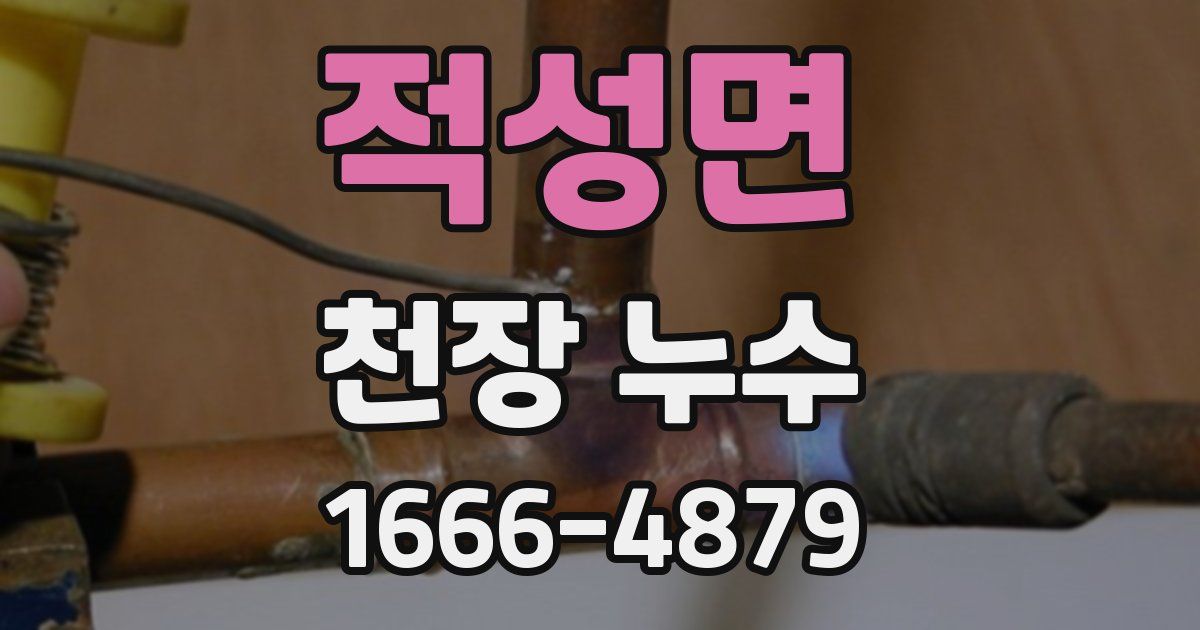 적성면 천장 누수
