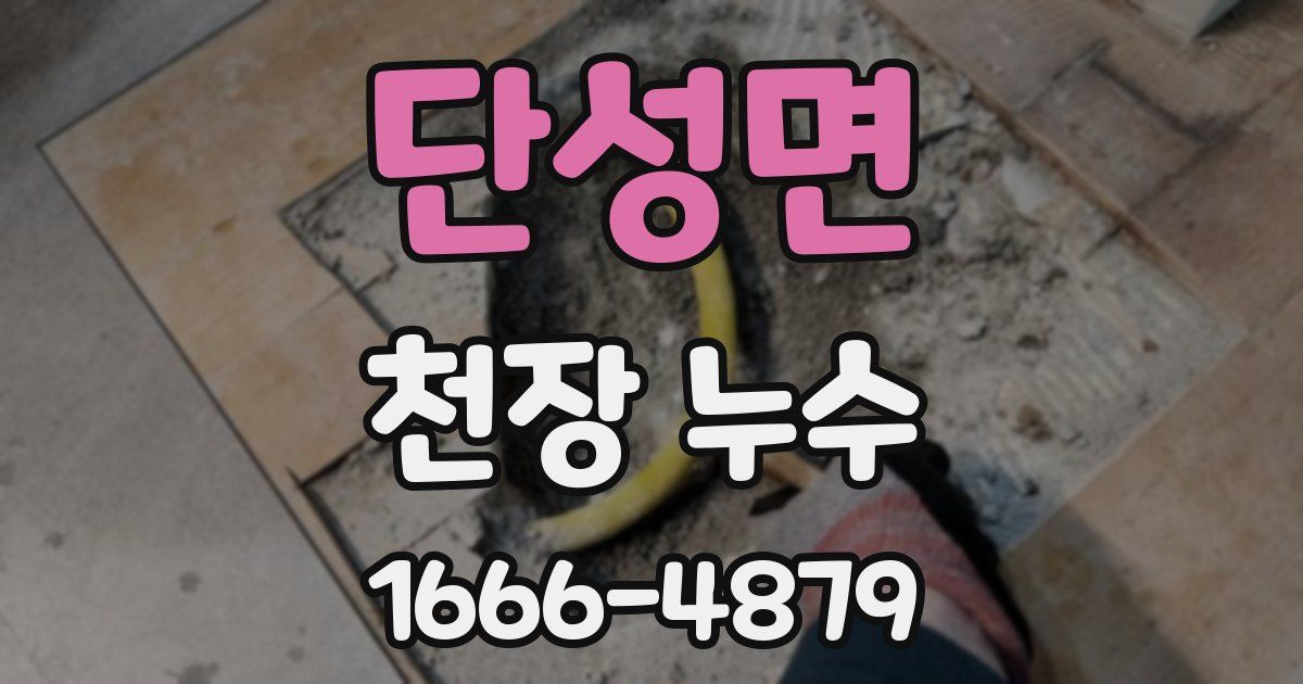 단성면 천장 누수