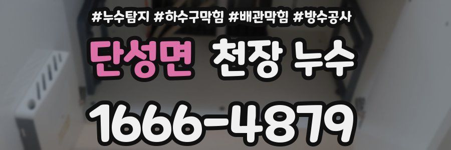 단성면 천장 누수