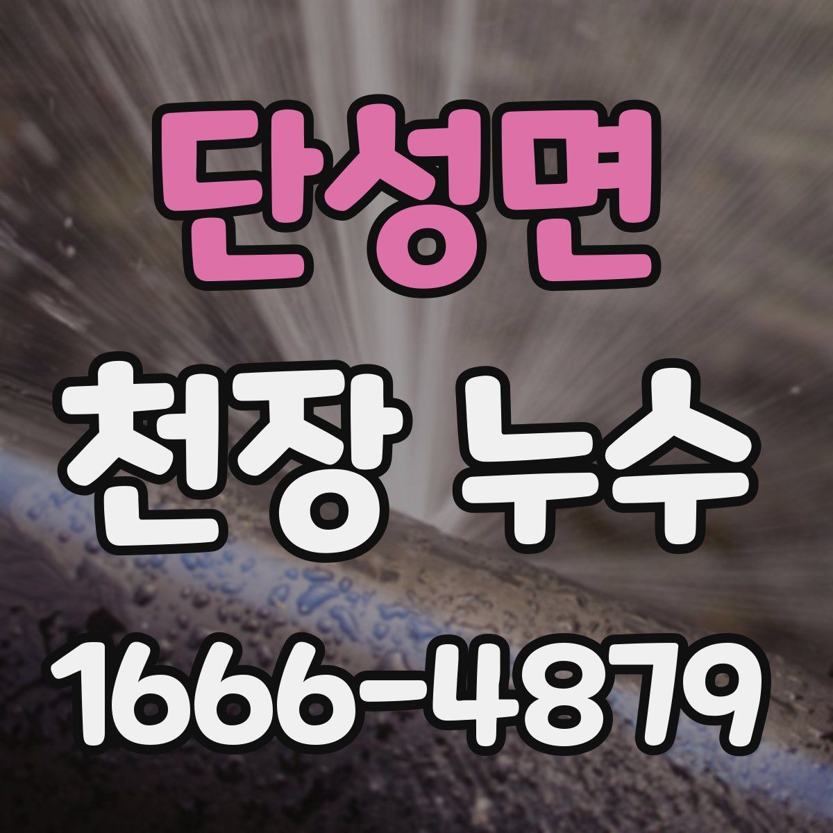 단성면 천장 누수