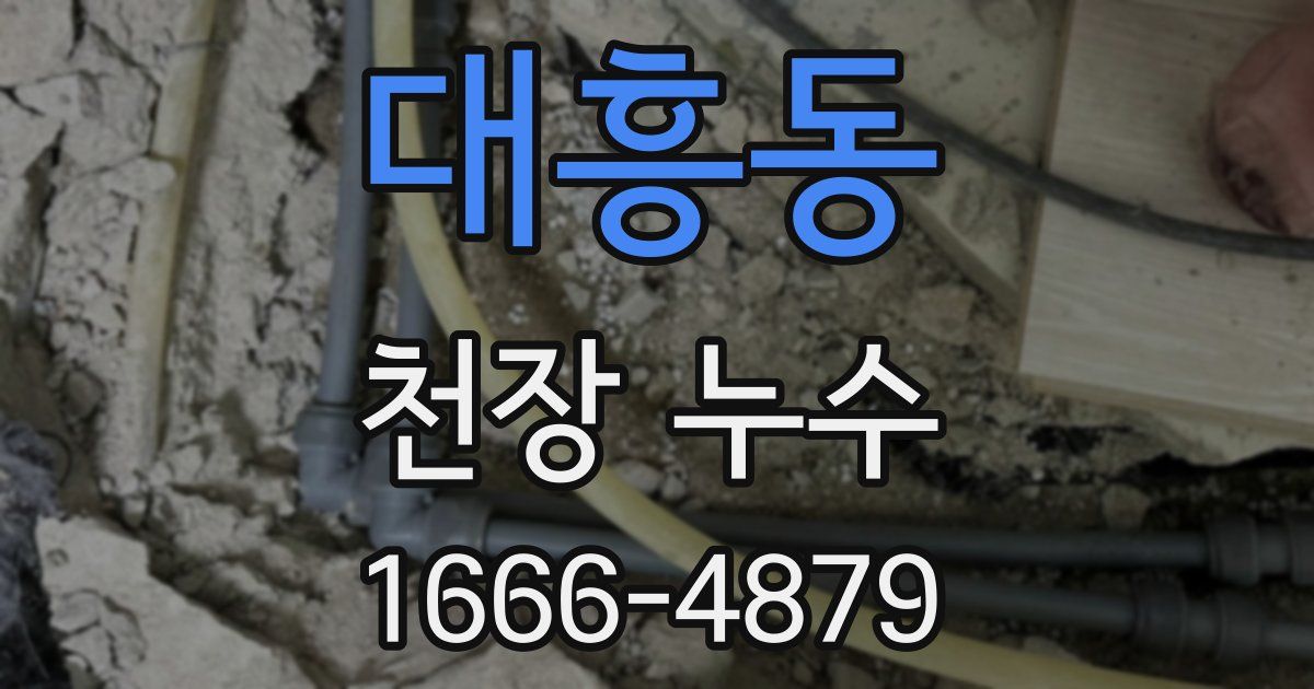 대흥동 천장 누수