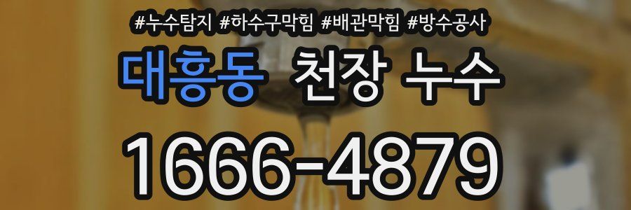 대흥동 천장 누수