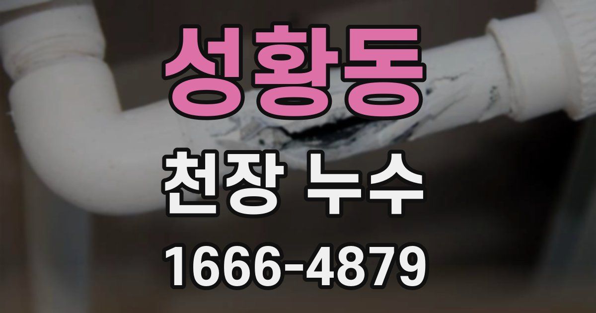 성황동 천장 누수