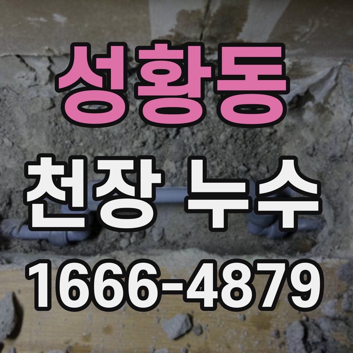 성황동 천장 누수